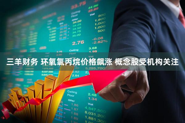 三羊财务 环氧氯丙烷价格飙涨 概念股受机构关注