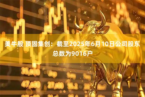 美牛股 顶固集创：截至2025年6月10日公司股东总数为9016户