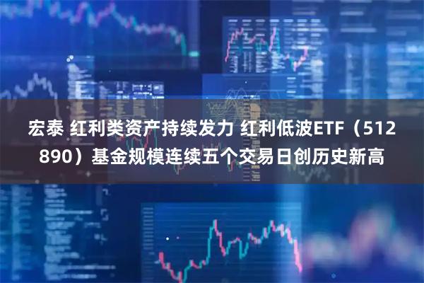 宏泰 红利类资产持续发力 红利低波ETF（512890）基金规模连续五个交易日创历史新高