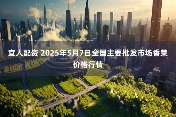 宜人配资 2025年5月7日全国主要批发市场香菜价格行情