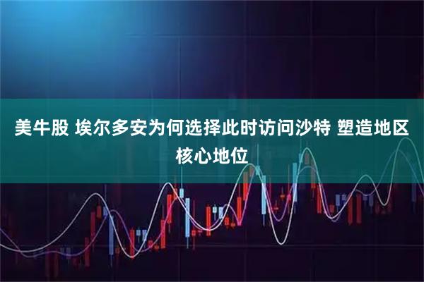 美牛股 埃尔多安为何选择此时访问沙特 塑造地区核心地位