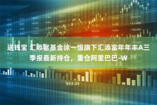 送钱宝 汇添富基金徐一恒旗下汇添富年年丰A三季报最新持仓，重仓阿里巴巴-W